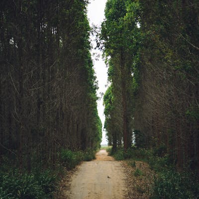 pexels-photo-15533676-3