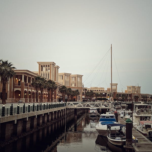 pexels-photo-17023182-2