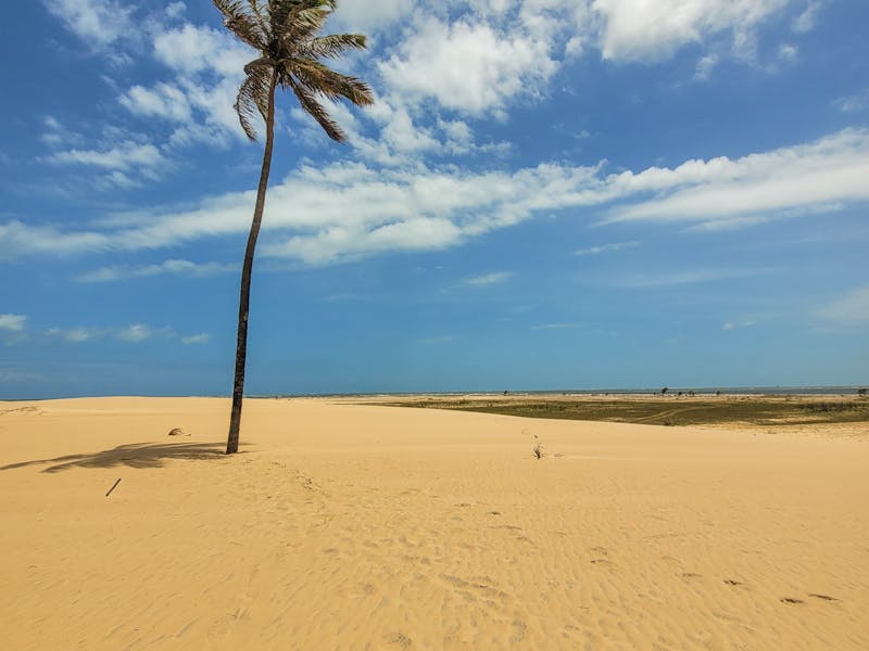 pexels-photo-20209238-3