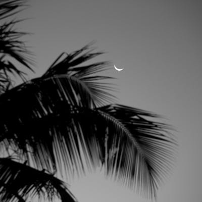 pexels-photo-21855086-1