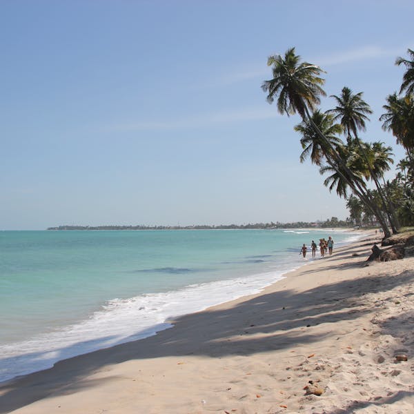 pexels-photo-4263451-1