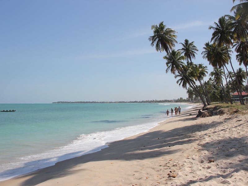 pexels-photo-4263451-2