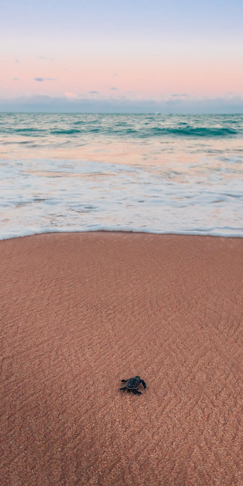 pexels-photo-4712744-2