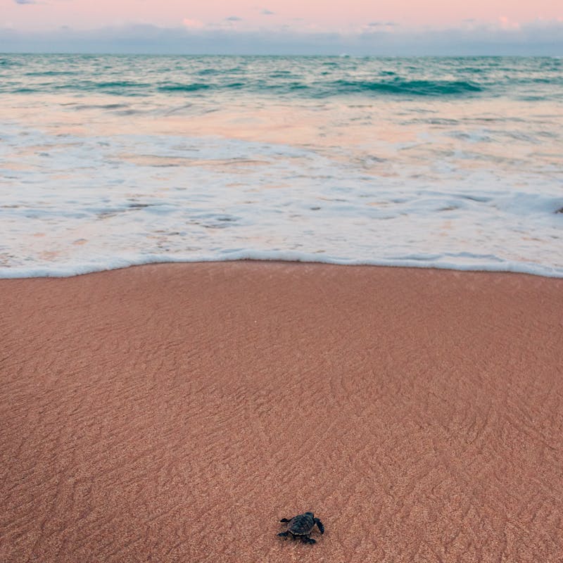 pexels-photo-4712744-4