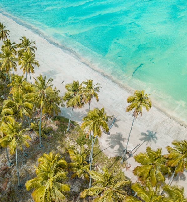 pexels-photo-5651690-3