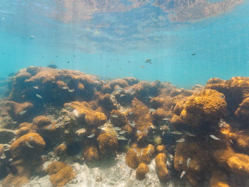 pexels-photo-7019573-3