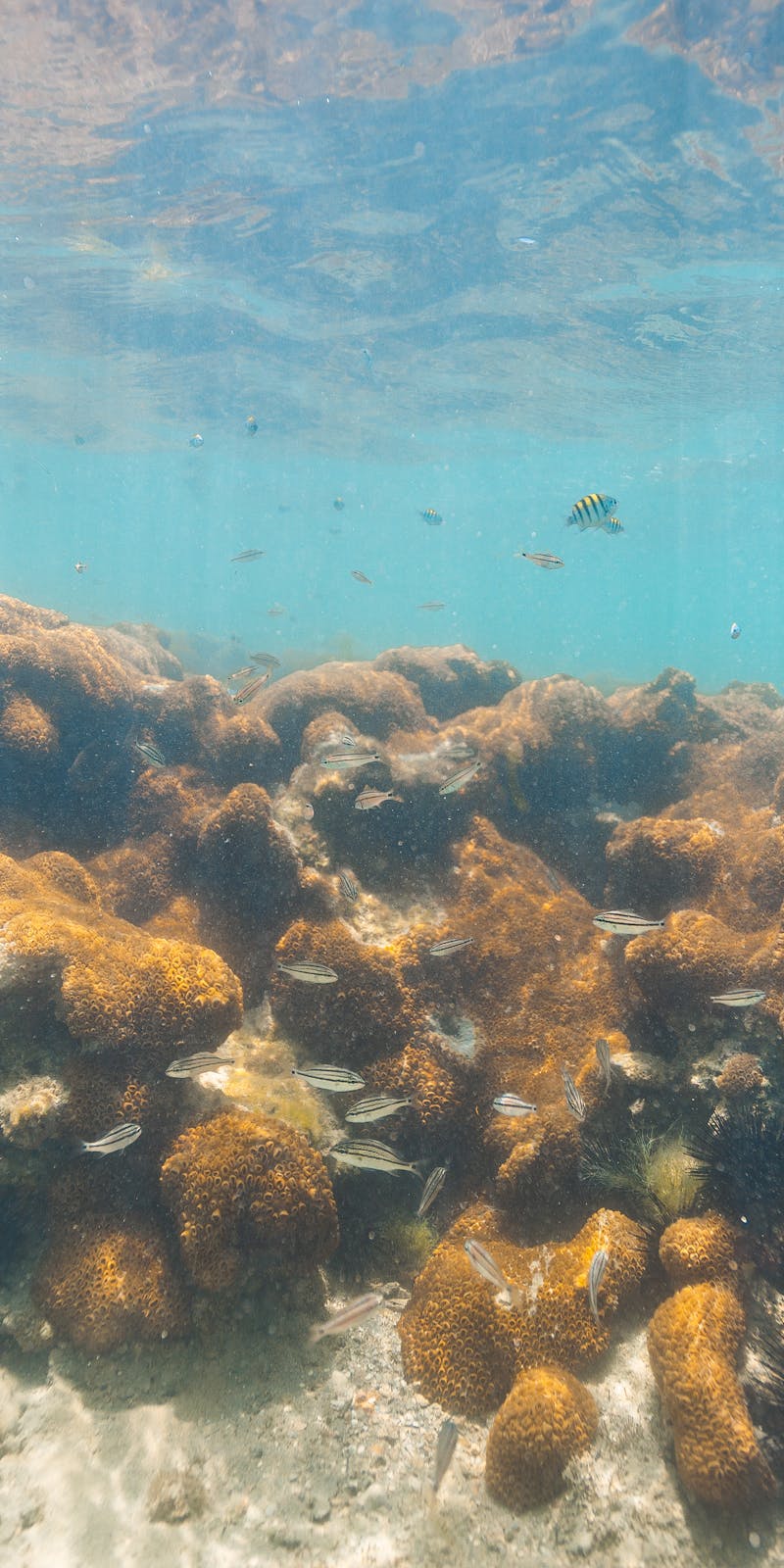 pexels-photo-7019573-4